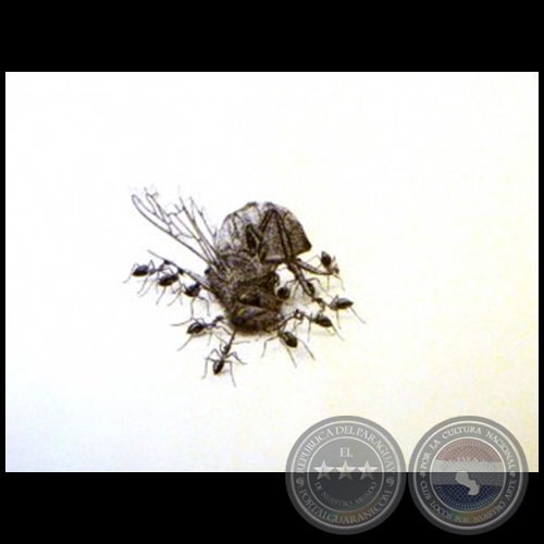 Naturaleza muerta - Artista Oliver Baldivieso - Año 2008